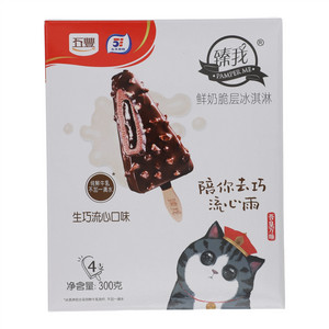 Napoleon拿破仑臻我生巧流心口味鲜奶脆层冰淇淋