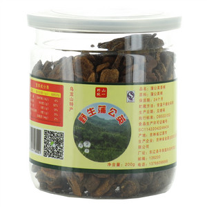 野纯山一野生蒲公英