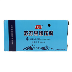 栗子园苏打果味饮料