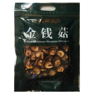 天齐金钱菇