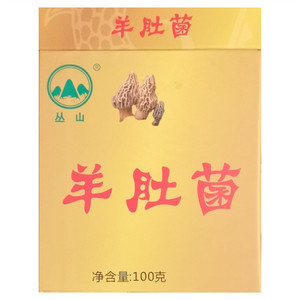 丛山羊肚菌