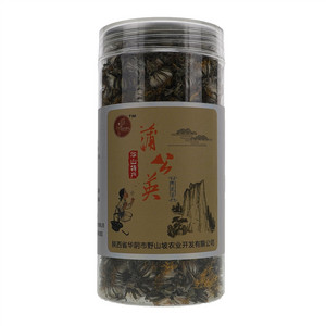 华山金蒲英蒲公英鲜花茶