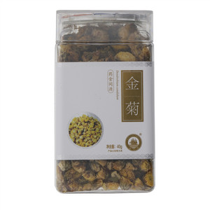 金九洲金菊