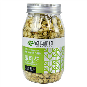 植物初心茉莉花