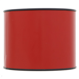 乡尖热带芒果乌龙茶