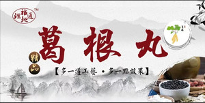汇通福地葛根红枣丸