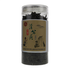 华山金蒲英蒲公英绿茶