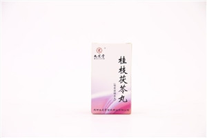 桂枝茯苓丸(包衣浓缩水丸)