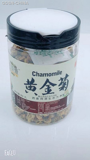 宛草壹黄金菊