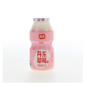 畅跑丹东草莓原料乳酸菌饮品