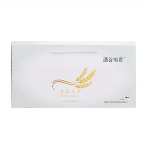米旗蜜枣粽子