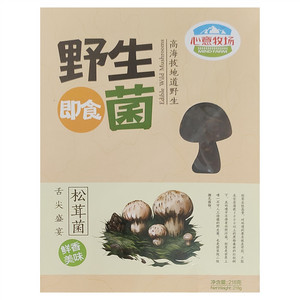 心意牧场松茸菌