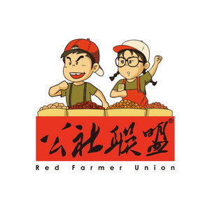 公社联盟-山楂零食组合480克