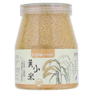 打谷塬黄小米