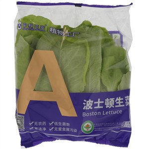 中科三安波士顿生菜