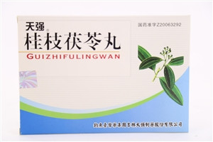 桂枝茯苓丸
