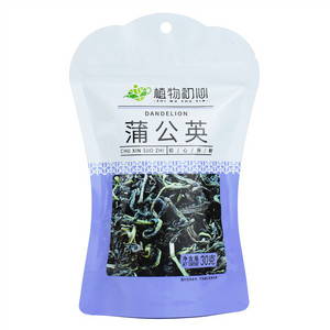 植物初心蒲公英