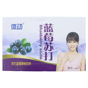 体动蓝莓苏打果味饮料