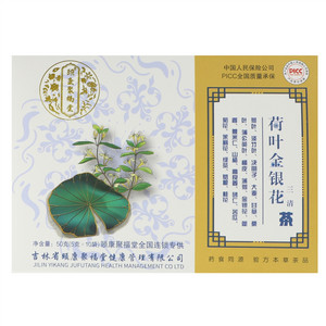 颐康聚福堂荷叶金银花茶