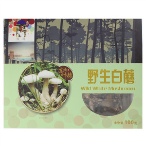 侯君野生白蘑