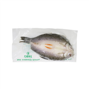 苏丹鱼