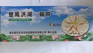 珍湖雪酸辣味泡藕带