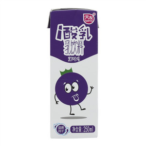 天友i 酸乳乳饮料（黑加仑味）