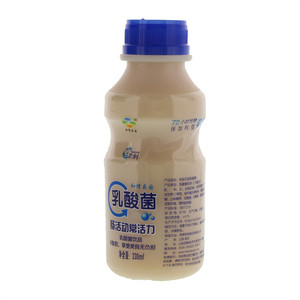 和信乐园乳酸菌