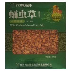 天齐蛹虫草（虫草花）