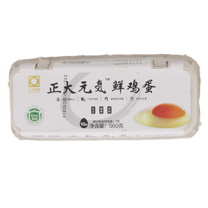 正大元氣
