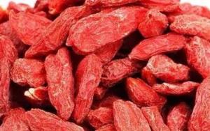 恒信益达宁夏枸杞