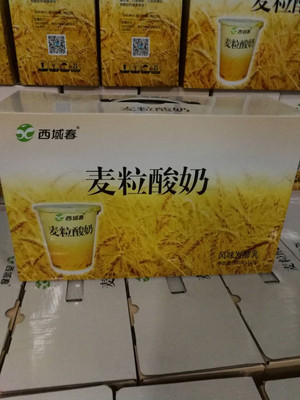 西域春麦粒酸奶