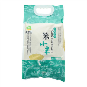 御龙田笨小米