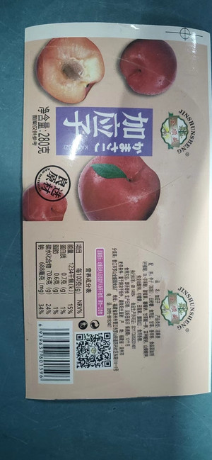 金顺盛加应子