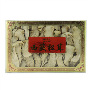 西藏松茸