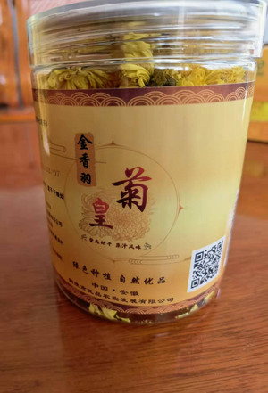 金香羽皇菊