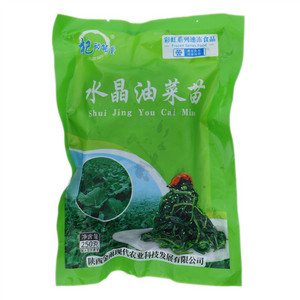 杞动能量水晶油菜苗