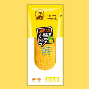 东北长嫂小甜甜的梦