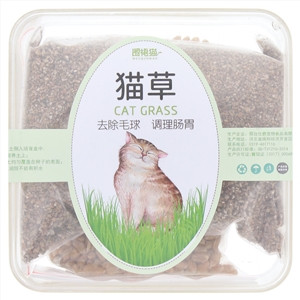 围裙猫猫草