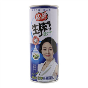 巨人园椰子汁植物蛋白饮料