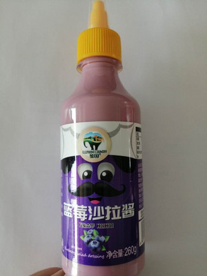 象国/ELEPHANT COUNTRY蓝莓沙拉酱