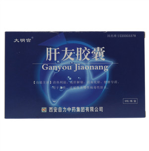 大明宫肝友胶囊12粒/板/盒