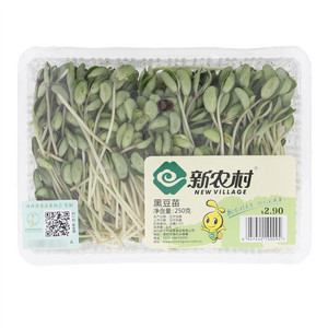 新农村黑豆苗