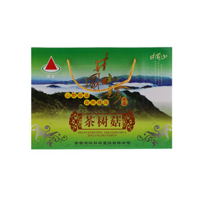 茶树菇