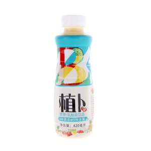 澳进植卜乳酸菌饮品