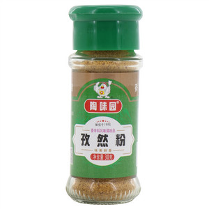 陶味园孜然粉香辛料风味调味品