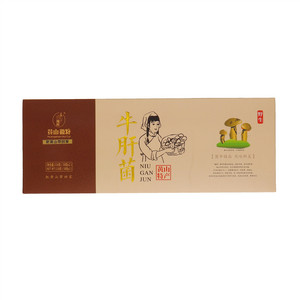 徽粹牛肝菌