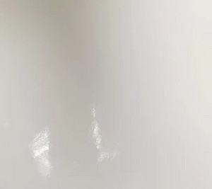 知味观大师双黄黑猪五花肉粽
