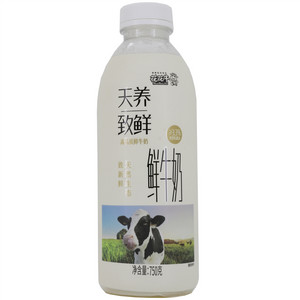 天养致鲜鲜牛奶