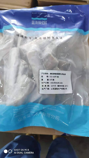 蓝海臻优鲜带鱼段(冷冻)